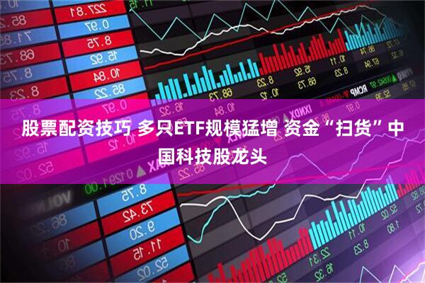 股票配资技巧 多只ETF规模猛增 资金“扫货”中国科技股龙头