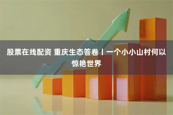 股票在线配资 重庆生态答卷丨一个小小山村何以惊艳世界