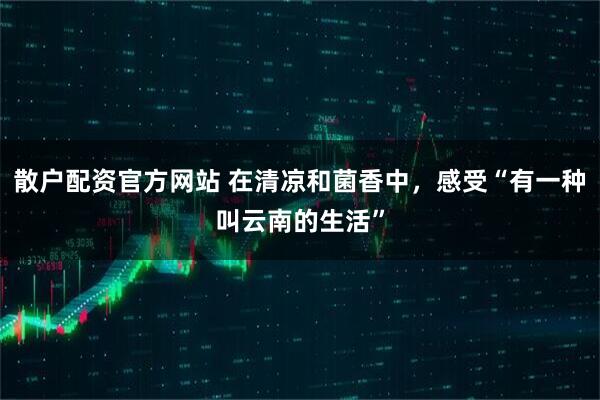散户配资官方网站 在清凉和菌香中，感受“有一种叫云南的生活”